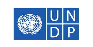 Logo PNUD